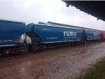 RUMO HTT-351461-7